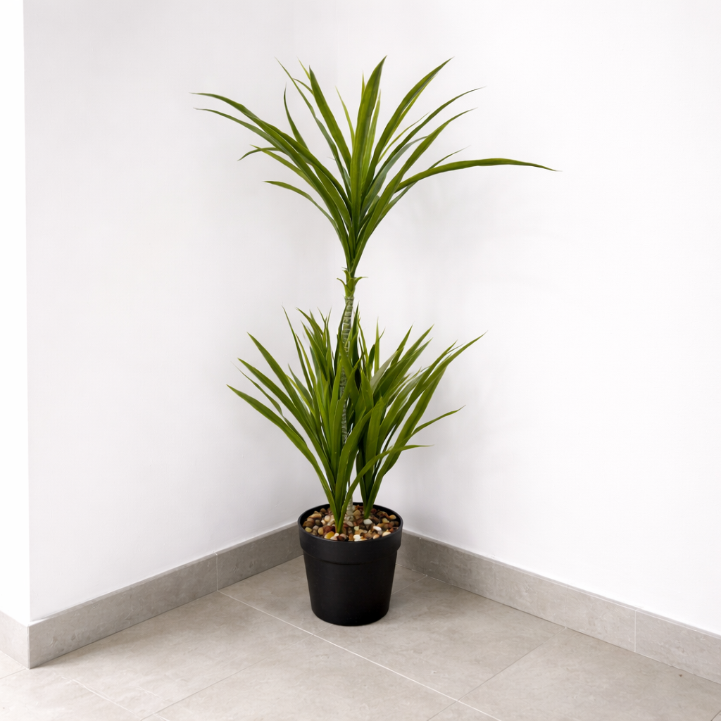 Planta Dracaena 80cm