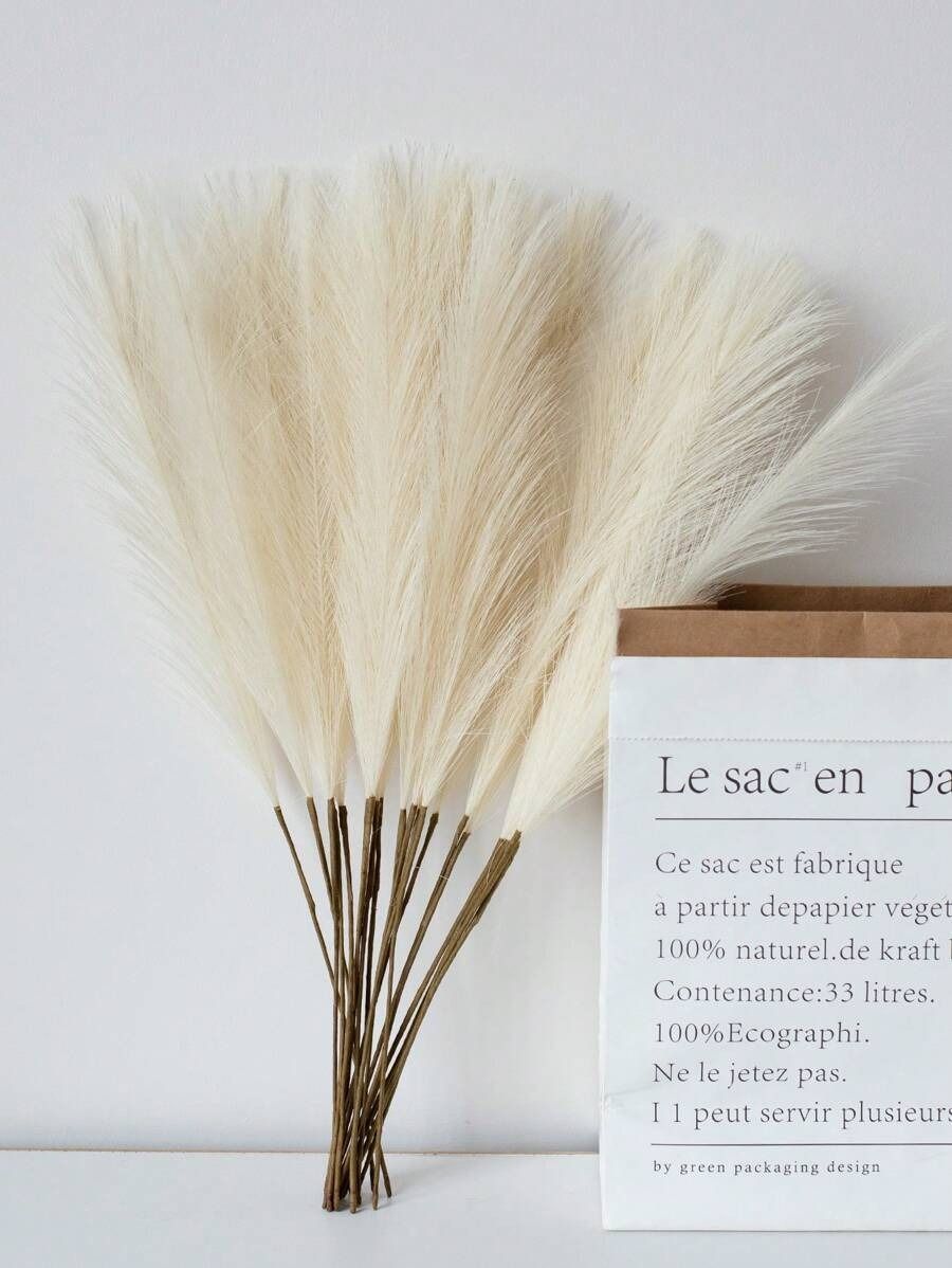 Plumas / Pampas