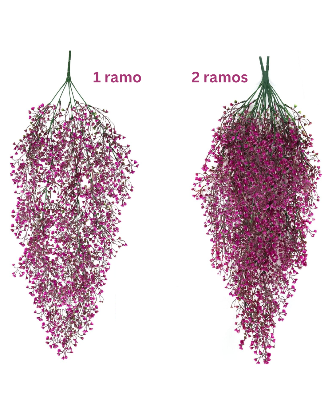 Flores dichondras colgantes