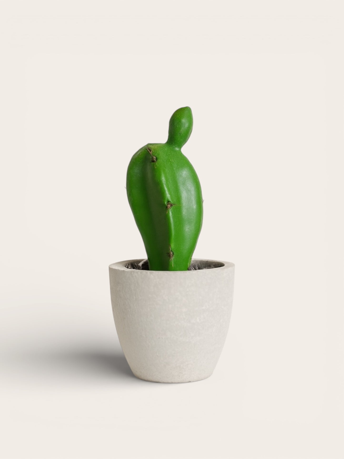Mini Cactus