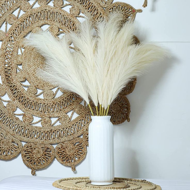 Plumas / Pampas