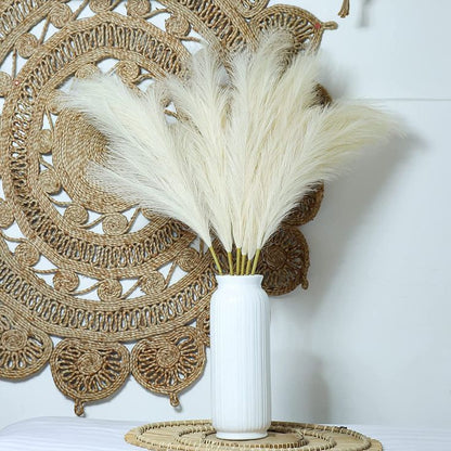 Plumas / Pampas