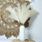 Plumas / Pampas