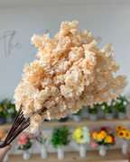 Rama de flor de cerezo