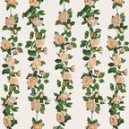 Hiedra de Rosas grandes