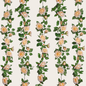 Hiedra de Rosas grandes