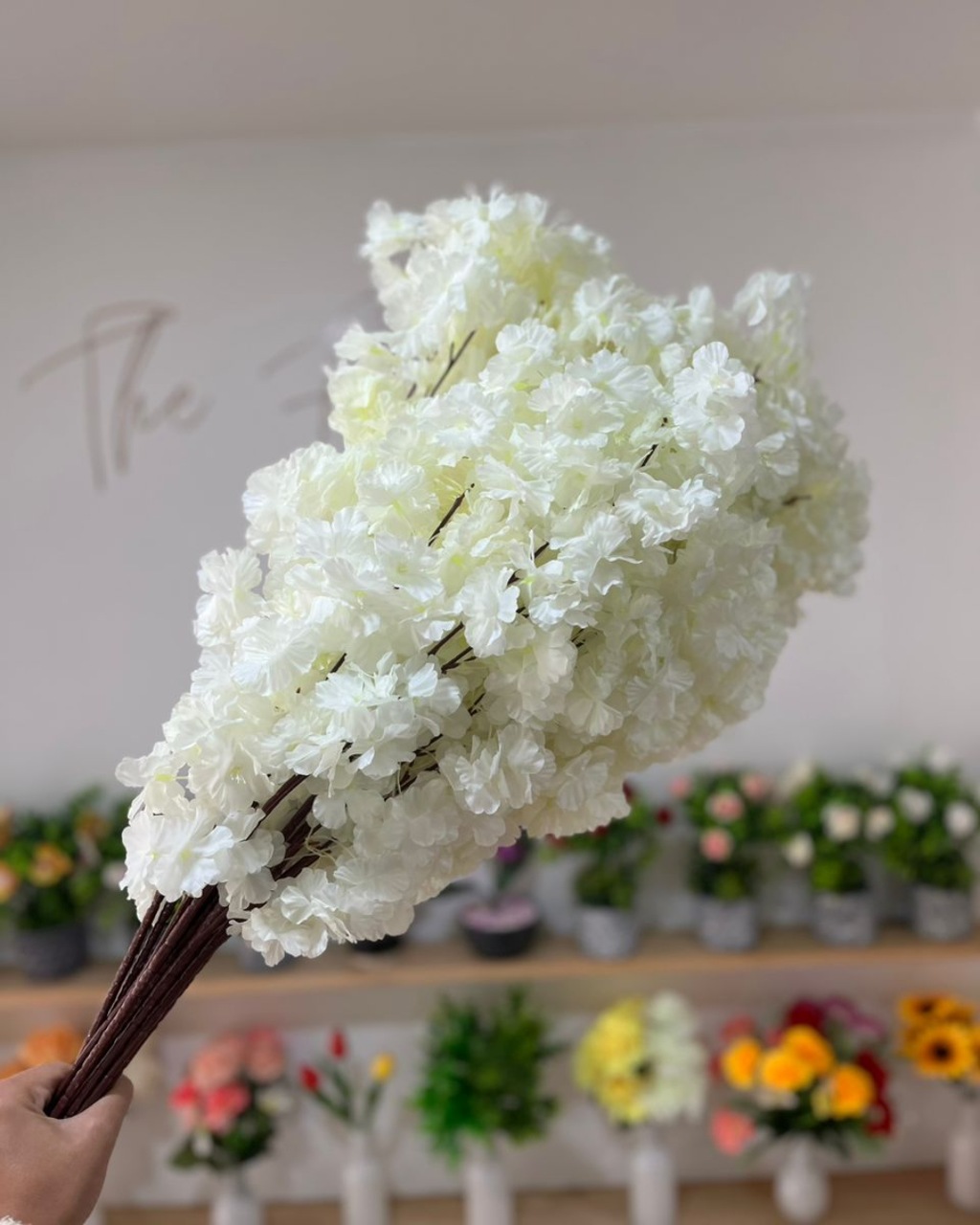 Rama de flor de cerezo