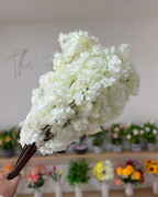 Rama de flor de cerezo