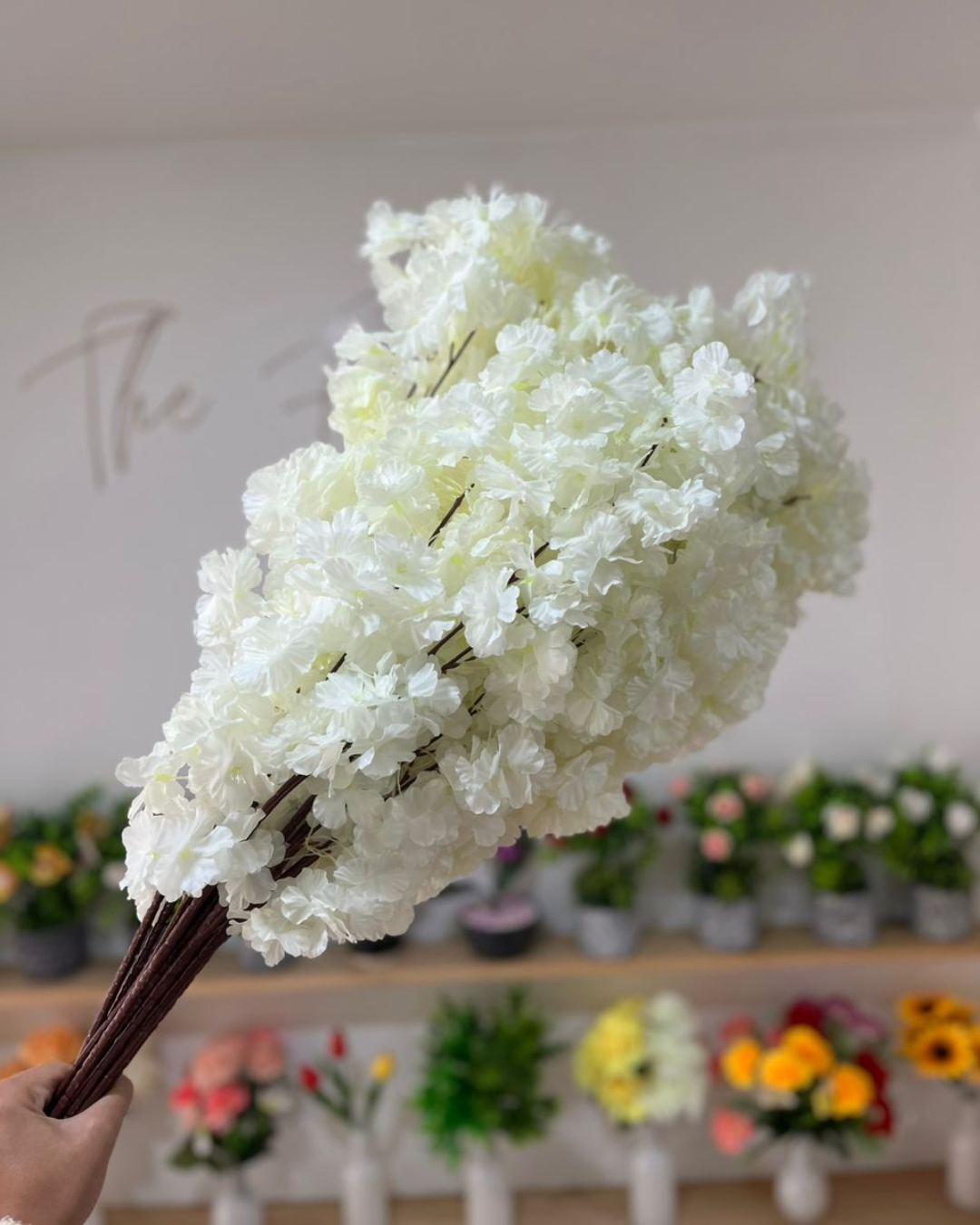 Rama de flor de cerezo