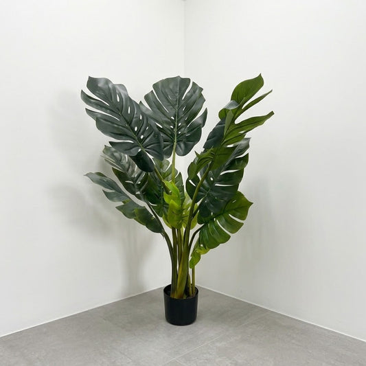 Monstera 1.1m