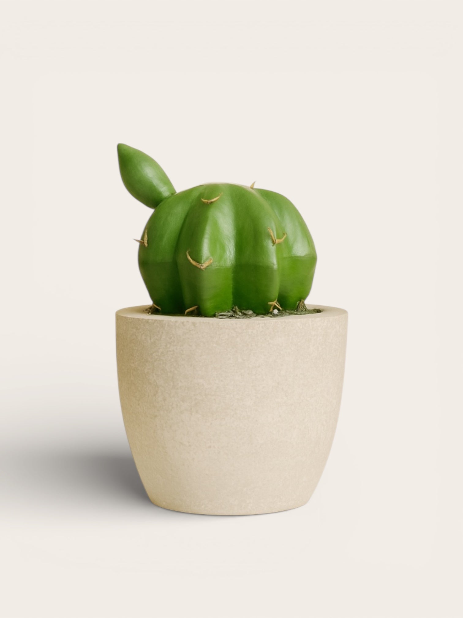 Mini Cactus