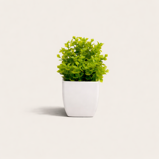 Matero base blanca para escritorio
