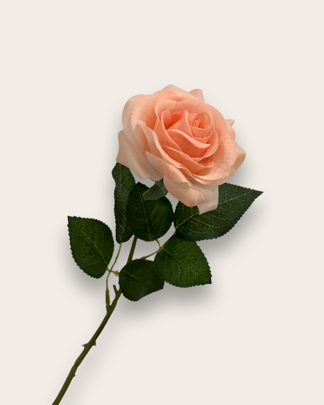 Rosas