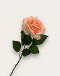 Rosas