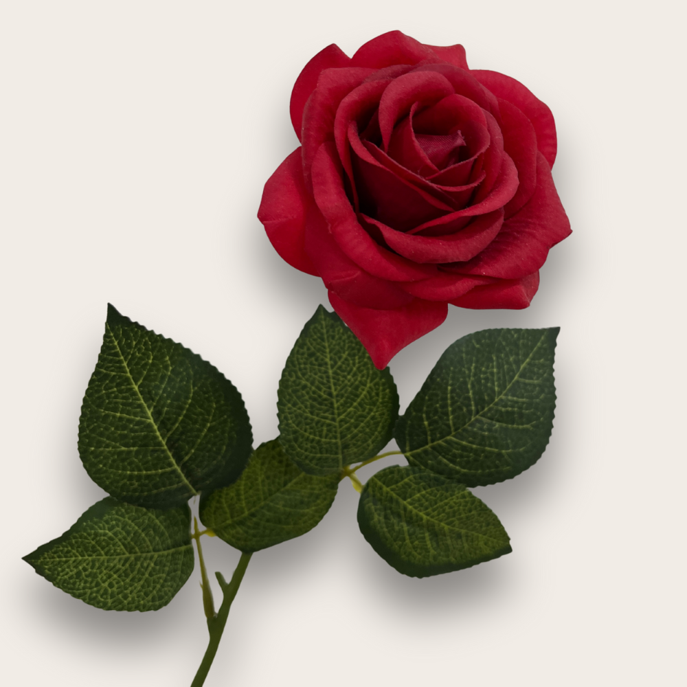 Rosas