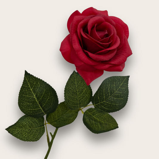 Rosas