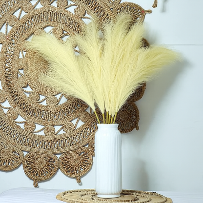 Plumas / Pampas
