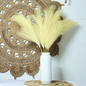 Plumas / Pampas