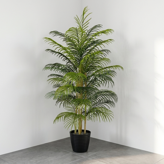 Planta de Palma 1.50m