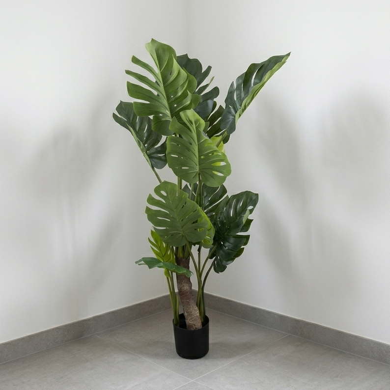 Monstera 1.50m