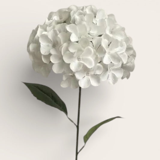 Hortensias