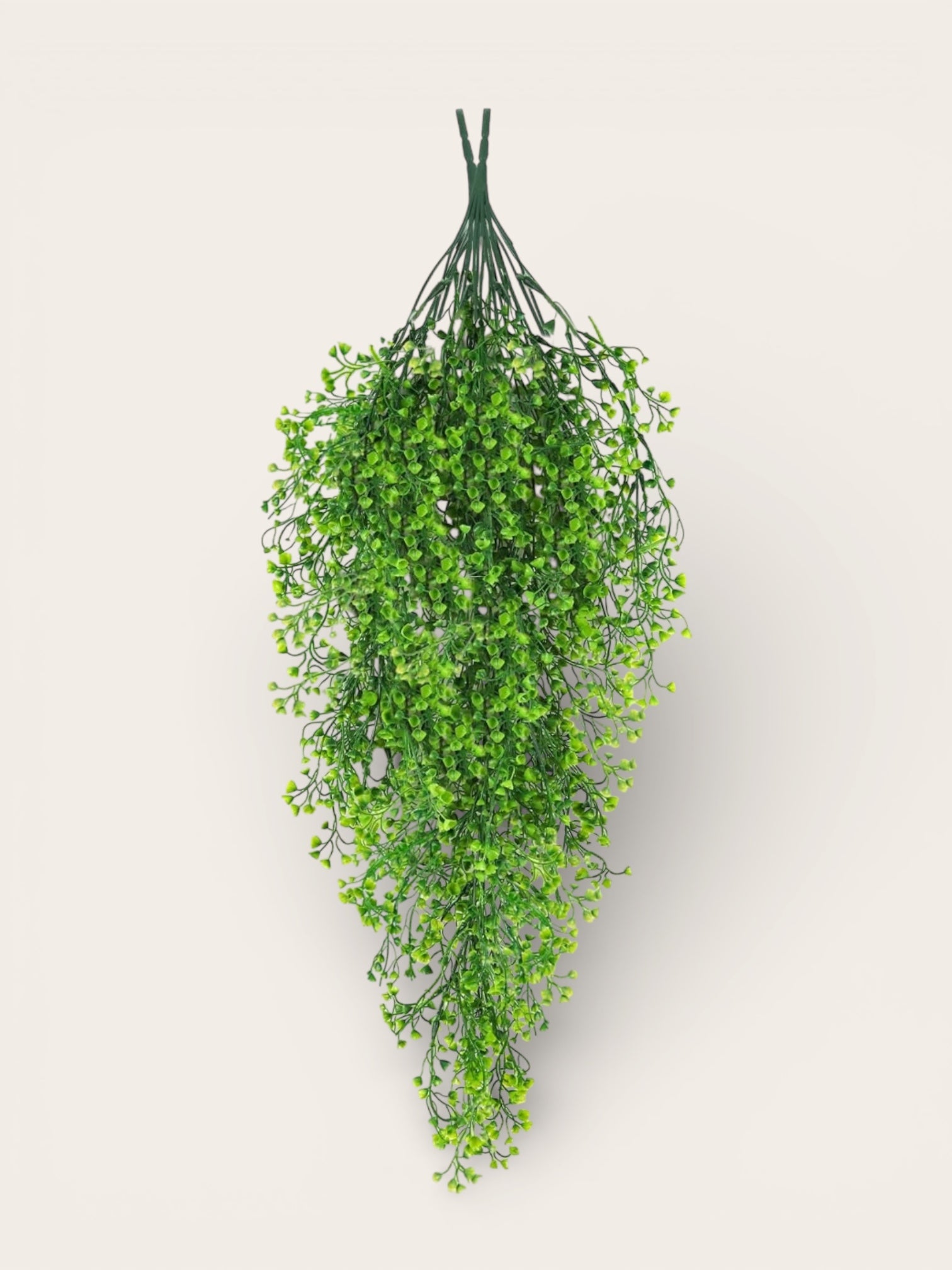 Flores dichondras colgantes