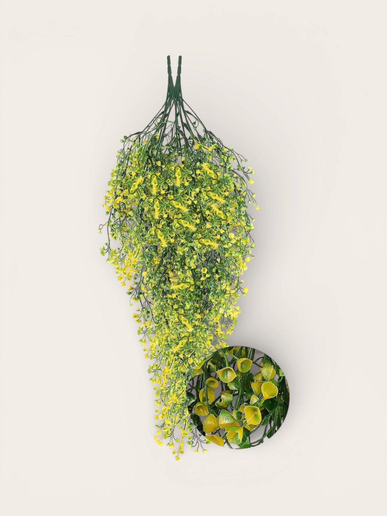 Flores dichondras colgantes