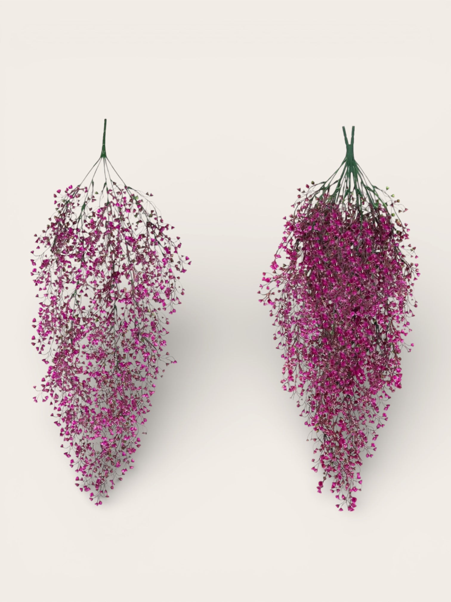 Flores dichondras colgantes