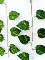 Guirnalda de hojas colgantes vid