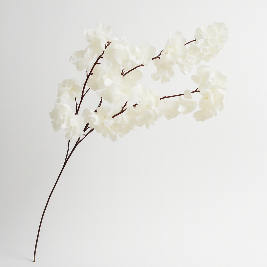 Rama de flor de cerezo