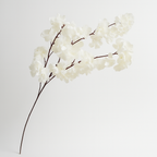 Rama de flor de cerezo