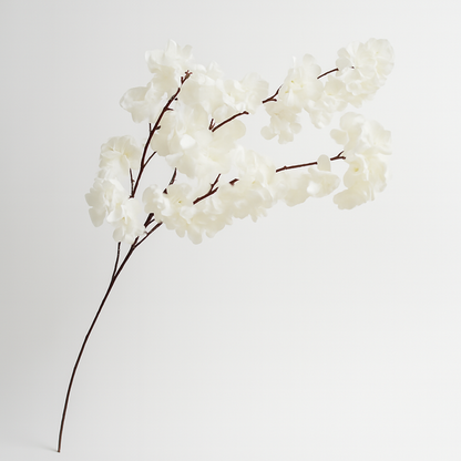 Rama de flor de cerezo