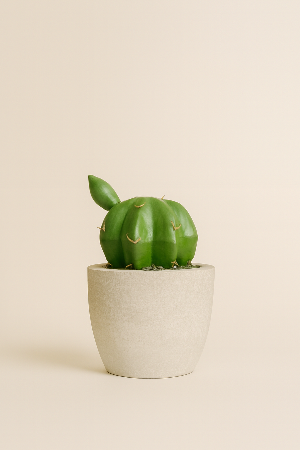 Mini Cactus