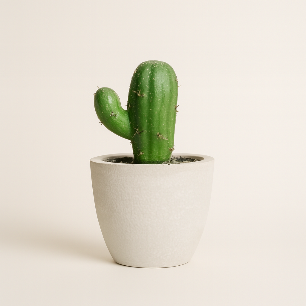 Mini Cactus